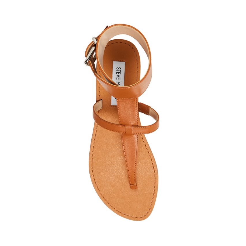 Brown Steve Madden Rico Leather Women's Flat Sandals | PH 8670JN16